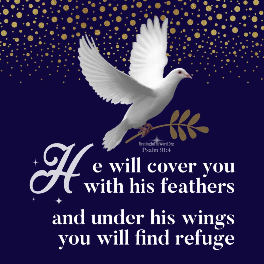 The Lord covers us with HIs protection like a mother bird protects her young from the ravages of the storm.